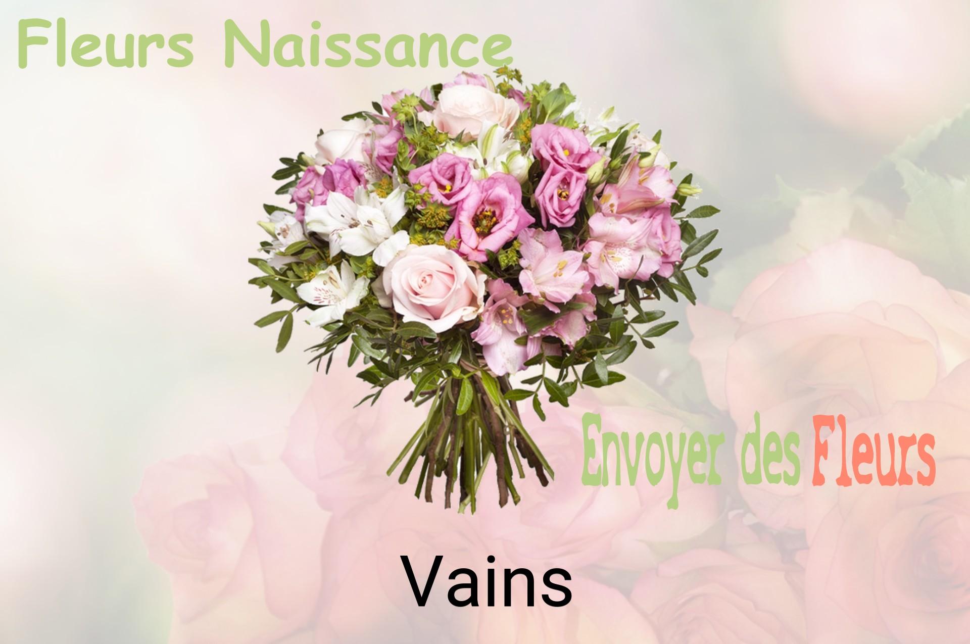 Bouquet de fleurs de naissance livré à Vains